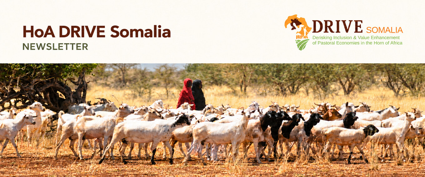 HoA DRIVE Somalia Newsletter