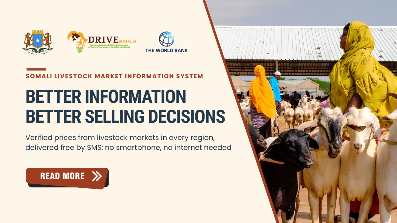 Somali Livestock Market Information System banner: Better information, better selling decisions, beside a woman and goats at a livestock market